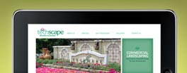 TechScape Landscape