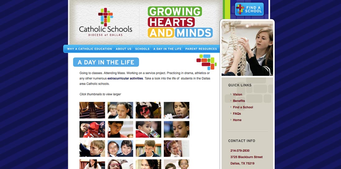 Website (Click to View)